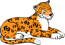 leopard image